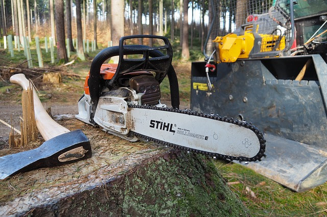 Several tree care utensils lying on top of a log