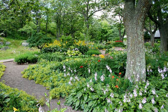 A well landscaped garden with flowers and greenery