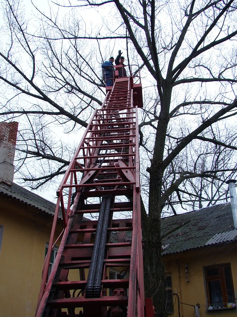 A large red ladder being used in an emergency tree removal situation