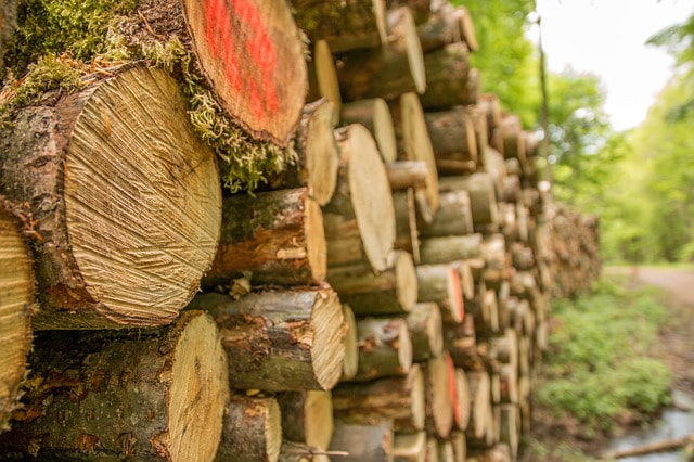 logs stacked on top of each other 